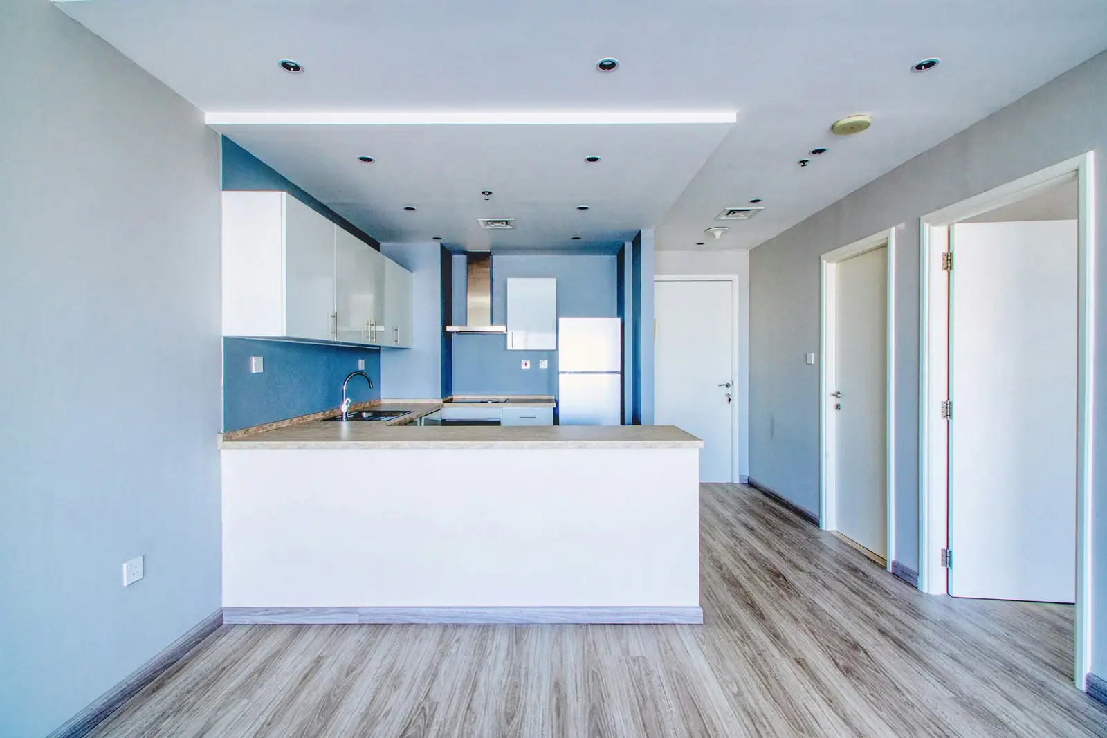 Open-plan kitchen and living room